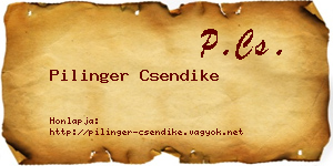 Pilinger Csendike névjegykártya